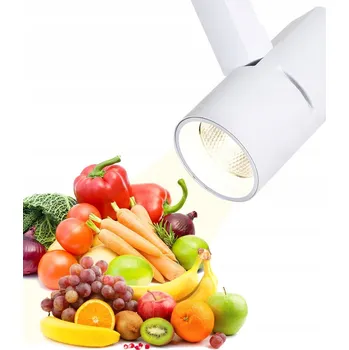 LEDmaxx kolejnicový reflektor 1 x 30 W, 0,2 m