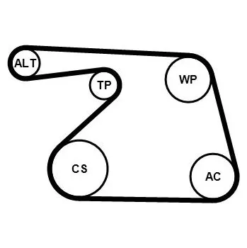 Sada žebrovaných klínových řemenů CONTINENTAL CTAM 6PK1325K1