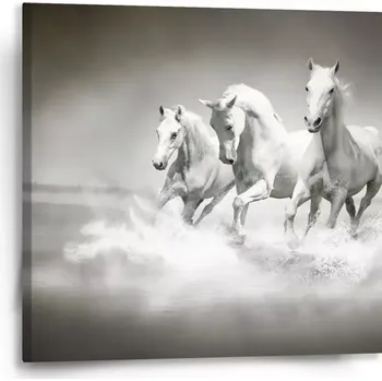 Obraz Sablio Obraz Bílí koně - 50x50 cm