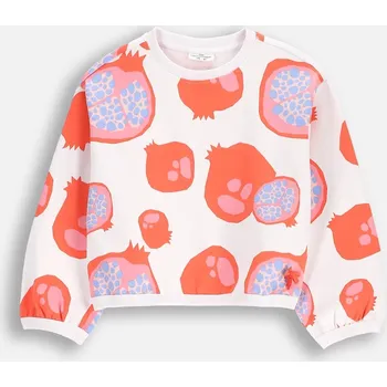 Chlapecká mikina Dětská mikina Coccodrillo bavlna , velikost 104