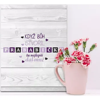 Plechová cedule Sablio Dárková cedulka Když Bůh stvořil prababičky: 30x40 cm