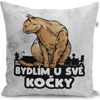 Polštář Sablio Polštář Bydlím u své kočky: 40x40 cm