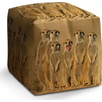 Taburet Sablio Taburet Cube Surikaty: 40x40x40 cm