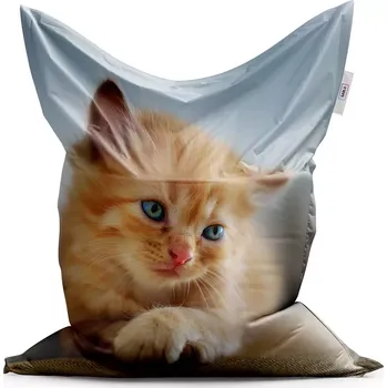 Sedací pytel Sablio Sedací vak s vlastním potiskem: 200x140 cm