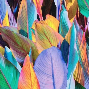 Tapeta VLIESOVÁ TAPETA BAREVNÉ KVĚTY LISTY UGEPA