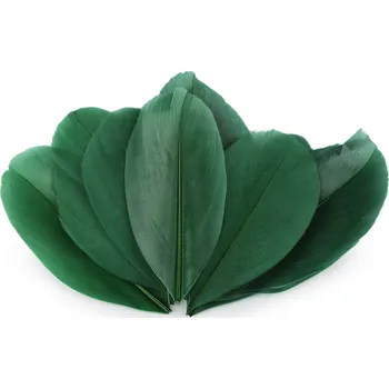 Husí peří délka 5,5-7 cm, malé, 17 zelená tmavá