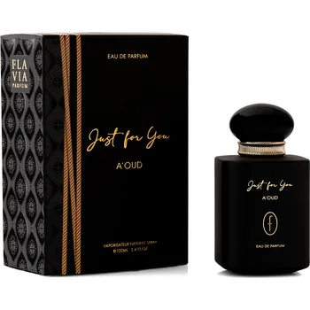 Pánský parfém Just For You Aoud / EDP Flavia - 100 ml