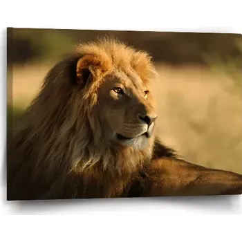Obraz Sablio Obraz Lev 3 - 60x40 cm
