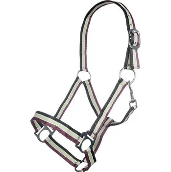 Vybavení pro koně Ohlávka Genf HKM - černá/jablkozelená/červená, Full