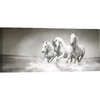 Obraz Sablio Obraz Bílí koně - 110x50 cm