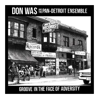DVD film Don Was: Groove In The Face Of Adversity - Don Was
