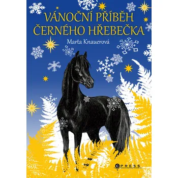 Kniha Vánoční příběh černého hřebečka