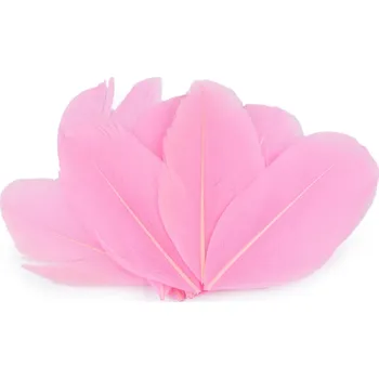 Husí peří délka 5,5-7 cm, malé, 18 růžová střední