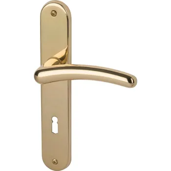 Dveřní kování Štítkové kování Südmetall Franca-LS, Variostar klika / klika, Cylindrická vložka, Mosaz leštěná