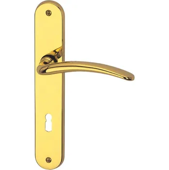 Dveřní kování Štítkové kování Südmetall Alexandra-LS, Variostar klika / klika, Cylindrická vložka, Mosaz leštěná