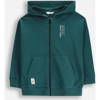 Chlapecká mikina Rozepínací Mikina Chlapecká Zelená mikina s kapucí 122 Coccodrillo WC5