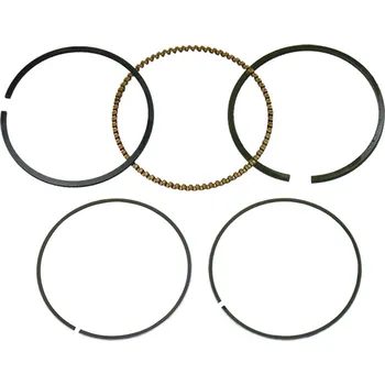 Píst motoru NAMURA pístní kroužky POLARIS sportSMAN 300 (08-10), HAWKEYE 300 (06-11) (NAMURA pístní kroužky POLARIS sportSMAN 300 (08-10), HAWKEYE 300 (06-11))