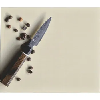 Kuchyňské prkénko ASAHI CC-H/S Syntetické prkénko na krájení 24x21 cm