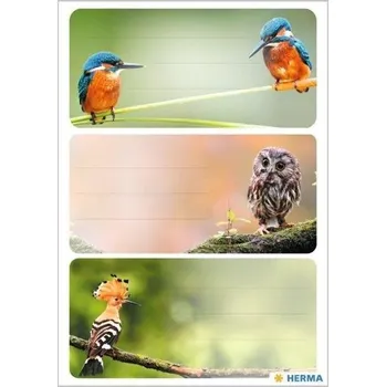 Set školních potřeb Naklejki szkolne - Ptaki 9szt