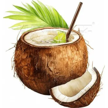 Nášivka Nažehlovačka Kokos drink - 11 x 12 cm