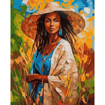 Malování podle čísel iPicasso 40x50 cm na rámu