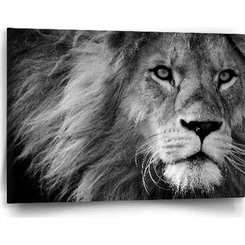 Obraz Sablio Obraz Lev 2 - 60x40 cm