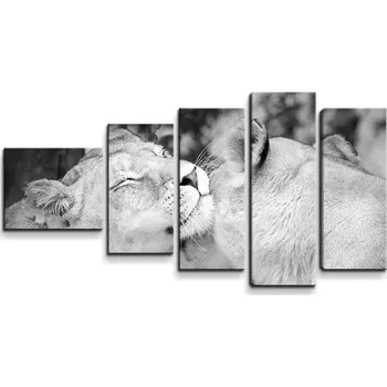 Obraz Sablio Obraz - 5-dílný Lvice - 100x60 cm
