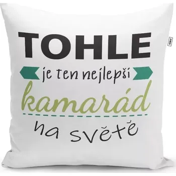Polštář Sablio Polštář Tohle je ten nejlepší kamarád na světě: 40x40 cm
