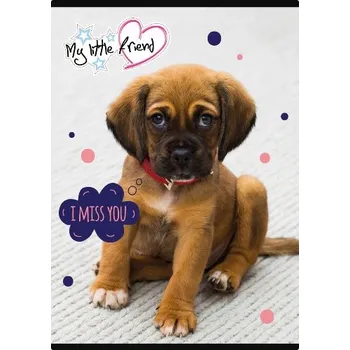 Sešit Linkovaný sešit Unipap A5, 32 listů