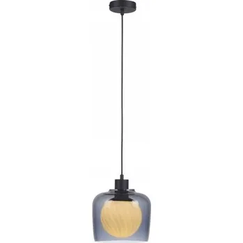 Závěsné svítidlo PAUL NEUHAUS CALOPUS 1-bodové, patice E27