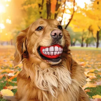 Hračka pro psa Žvýkací hračka pro psy 000