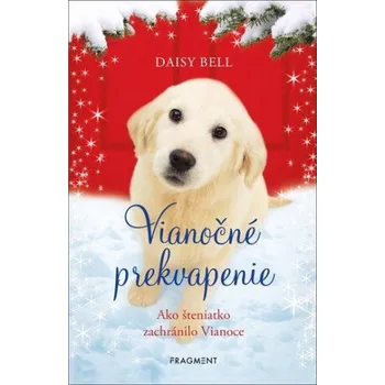 Učebnice Vianočné prekvapenie - Daisy Bellová
