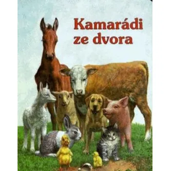 Leporelo Kamarádi ze dvora - Ivo Odehnal