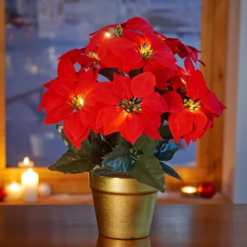 Vánoční dekorace 3Pagen LED vánoční hvězda v květináči bílá 000