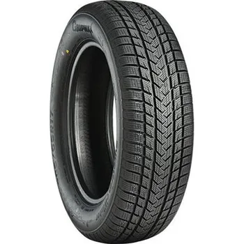 Osobní pneu GRIPMAX SUREGRIP EWINTER 255/60 XL R20 113 V