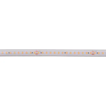 LED páska Deko-Light LED pásek - Long Run, SMD, 48V-10W, 2700 K, 5m, silikon 840441