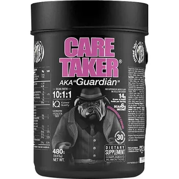 Aminokyselina Zoomad Labs ZOOMAD LABS CARETAKER 30 SERVS 10:1:1 (480gr, Silk Orange) (480 g, Jahodový krém)