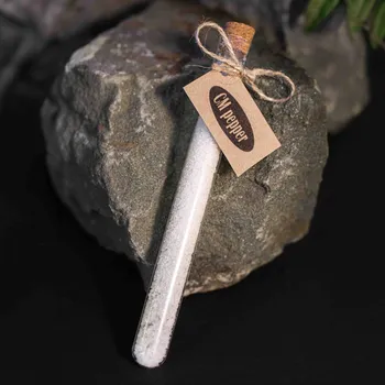 Kuchyňská sůl CMpepper Fleur de Sel (Solný květ) - zkumavka 30g