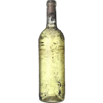 Víno Château Valtice Rulandské bílé / Pinot Blanc 2007 0,75 l