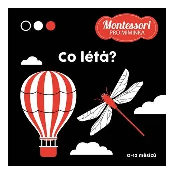 Leporelo Kontrastní leporelo: Co létá?