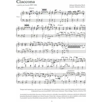 Ciaccona BWV 1004 pro klavír