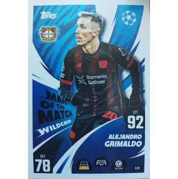 Sběratelská karetní hra Alejandro Grimaldo