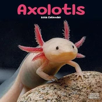 Kalendář Axolotls Calendar 2026 Square Animal Wall Calendar - 16 Month -