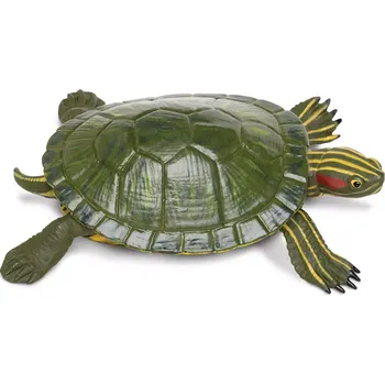 Safari Ltd. Figurka - Želva nádherná