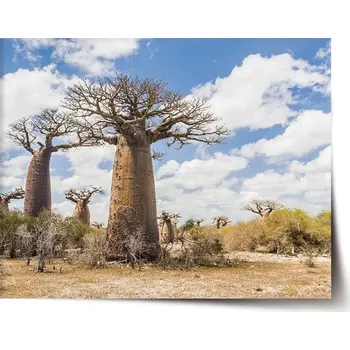 Plakát Sablio Plakát Strom - 60x40 cm