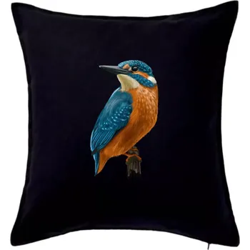 Polštář Lednáček kreslený - Polštář 50x50 - 50x50 - Pouze potah ( Černá )