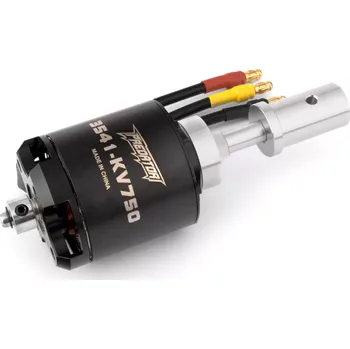 RC náhradní díl FMS ASW-17 2500mm - Motor