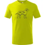 DOBRÝ TRIKO Dětské tričko s potiskem Kde drbat psa Velikost: 110 /4 roky, Barva: Limetková