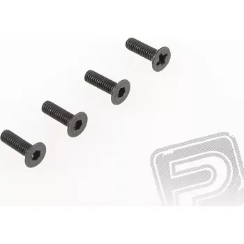 RC náhradní díl Himoto Samořezný šroub se záp. hlavou (3x10) 4ks. 1/5