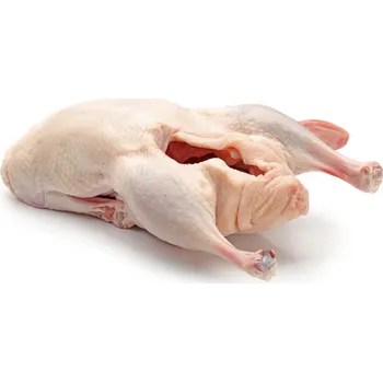 Maso a ryba BIO celá husa s droby, min 3,7 kg